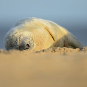 Image post by @rspb on Instagram