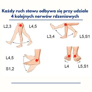 Image post by @neurochirurg_litak on Instagram