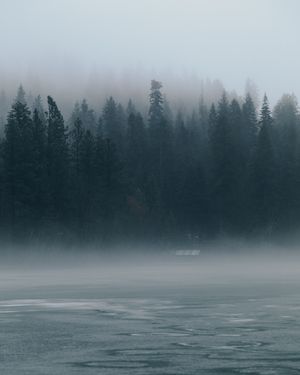 Image post by @takenbykathleen on Instagram