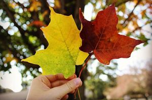 Image post by @smumn on Instagram