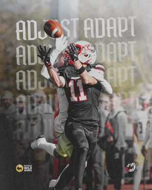 Image post by @msum_football on Instagram