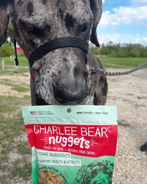 Image post by @charlee_bear_dogtreats on Instagram