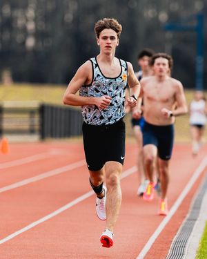 Image post by @nicoklementzos on Instagram