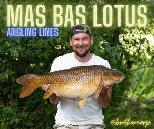 Image post by @brothercarp on Instagram