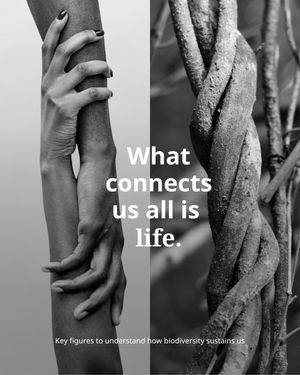 Image post by @unesco on Instagram