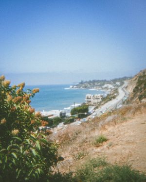 Image post by @pepperdinewaves on Instagram