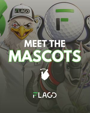 Image post by @flagdgolf on Instagram