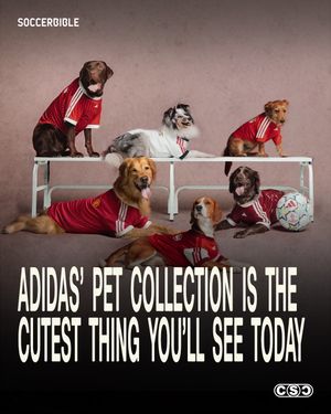 Video post by @soccerbible on TikTok