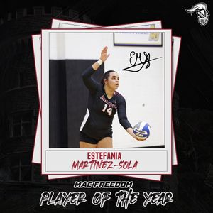 Image post by @arcadia_knights on Instagram