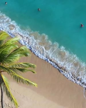 Video post by @Häagen-Dazs Hawaii  on Facebook