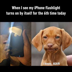 Image post by @9gag on Instagram