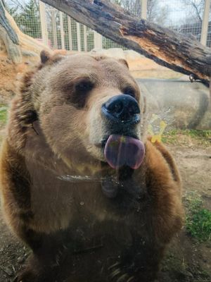 Image post by @tulsazoo on Instagram