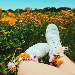 Image post by @jordanranease on Instagram