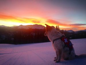 Image post by @breckenridgemtn on Instagram