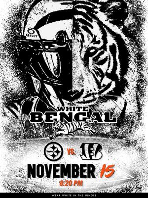 Image post by @bengals on Instagram