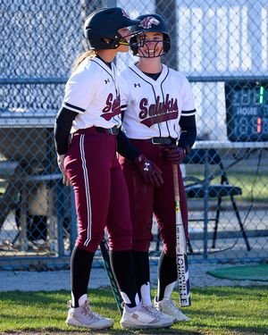 Image post by @siu_softball on Instagram