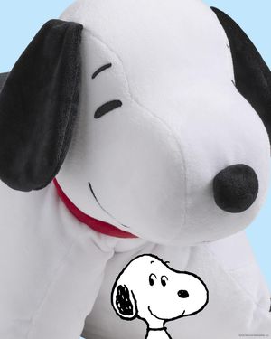 Image post by @originalpillowpets on Instagram