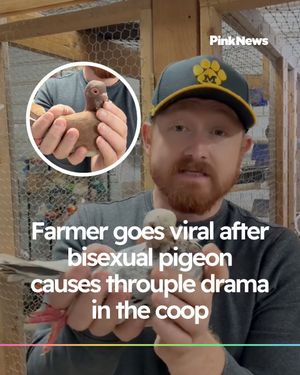 Image post by @pinknews on Instagram