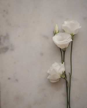 Image post by @kate.simple.life on Instagram