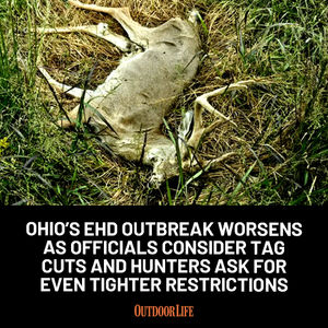 Image post by @outdoor_life on Instagram