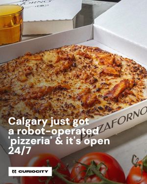 Image post by @curiocitycalgary on Instagram