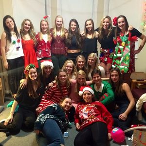 Image post by @terrierfh on Instagram