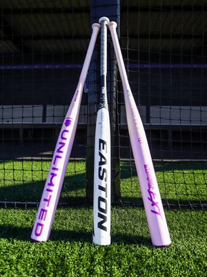 Image post by @tarletonsoftball on Instagram