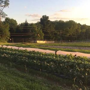 Video post by @fishkillfarms on Facebook