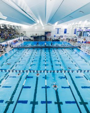 Image post by @BYUSwim_Dive on Twitter