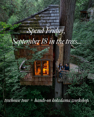 Image post by @treehousepoint on Instagram