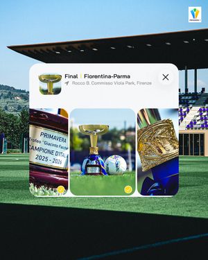 Image post by @seriea on Instagram