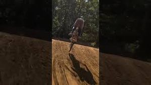 Video post by @Nitro Circus on YouTube