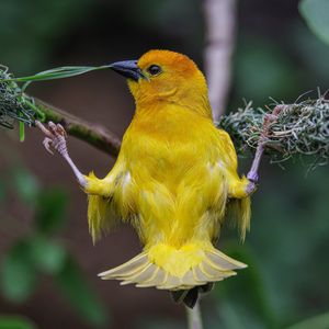 Image post by @sandiegozoo on Instagram