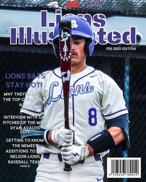 Image post by @nelsonubaseball on Instagram