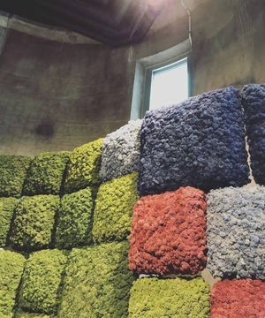 Image post by @leafyaffair on Instagram