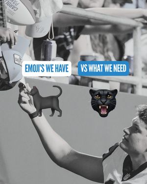 Image post by @roaringriot on Instagram