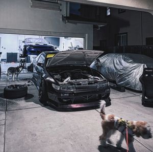 Image post by @arthaimage on Instagram