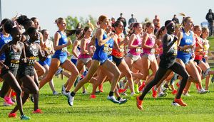 Image post by @tandfn on Instagram