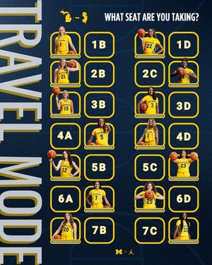 Image post by @umichwbball on Instagram