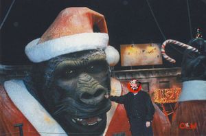 Image post by @cowmissing on Instagram