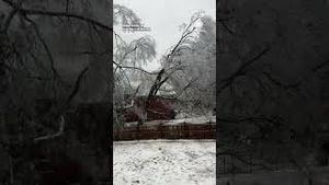 Video post by @accuweather on YouTube