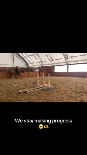 Video post by @kate.cassaidy on TikTok