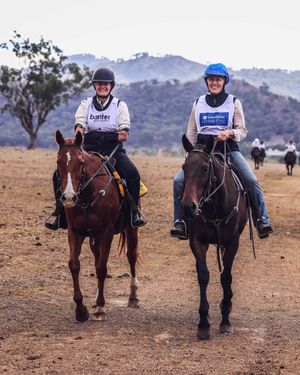 Image post by @godolphin on Instagram