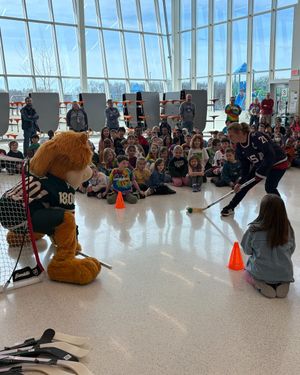 Image post by @WildGivesBack on Twitter