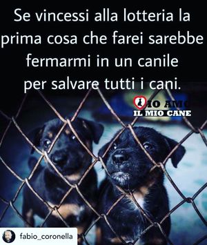 Image post by @marcobellucci.it on Instagram