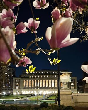 Image post by @columbia on Instagram