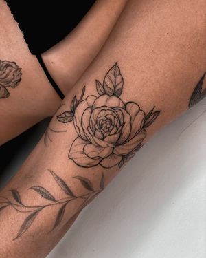 Image post by @tamarafalcomer on Instagram