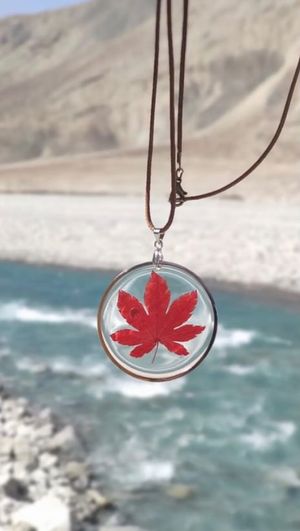 Video post by @leafyaffair on Instagram