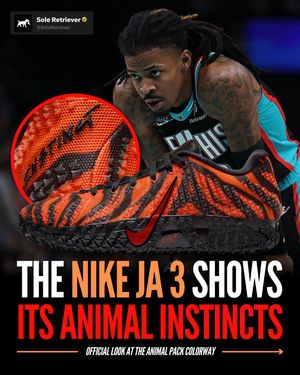 Image post by @soleretriever on Instagram