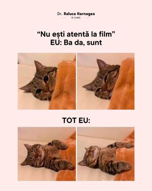 Image post by @dr.ralucaharnagea on Instagram